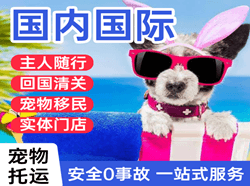 鸡西航空托运国际宠物托运 【国